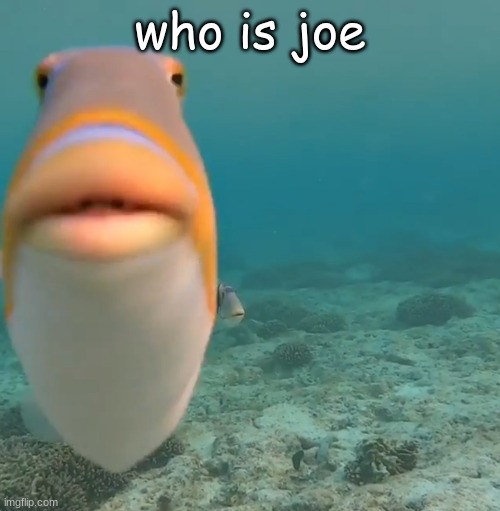 who be joe tho | who is joe | image tagged in do you fart | made w/ Imgflip meme maker