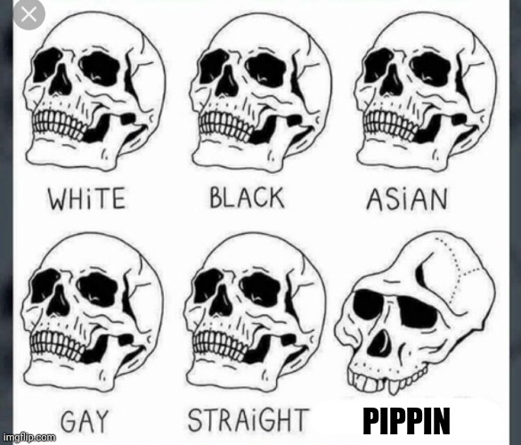 White black asian gay straight skull | PIPPIN | image tagged in white black asian gay straight skull template,memes,lord of the rings,merry and pippin,funny | made w/ Imgflip meme maker