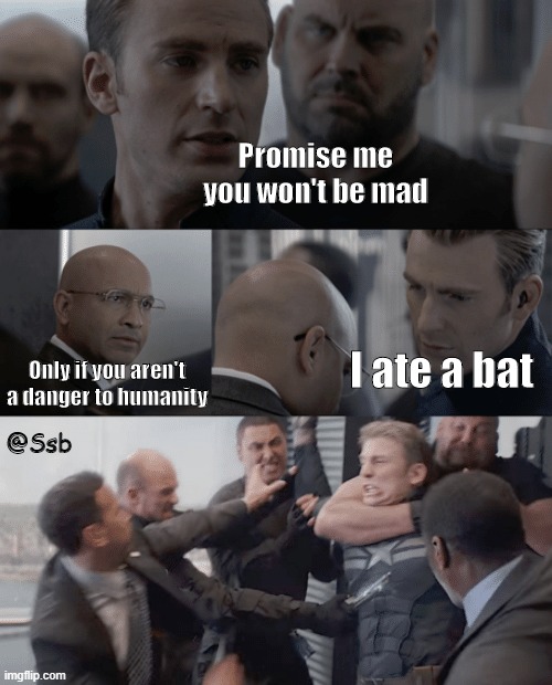 I ate a bat | Promise me you won't be mad; Only if you aren't a danger to humanity; I ate a bat; @Ssb | image tagged in captain america elevator | made w/ Imgflip meme maker