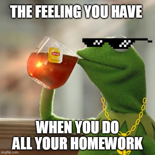 But That's None Of My Business Meme | THE FEELING YOU HAVE; WHEN YOU DO ALL YOUR HOMEWORK | image tagged in memes,but that's none of my business,kermit the frog | made w/ Imgflip meme maker