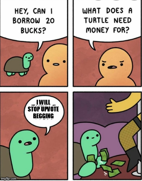 Template by izebrarose9 | I WILL STOP UPVOTE BEGGING | image tagged in why does a turtle need money | made w/ Imgflip meme maker