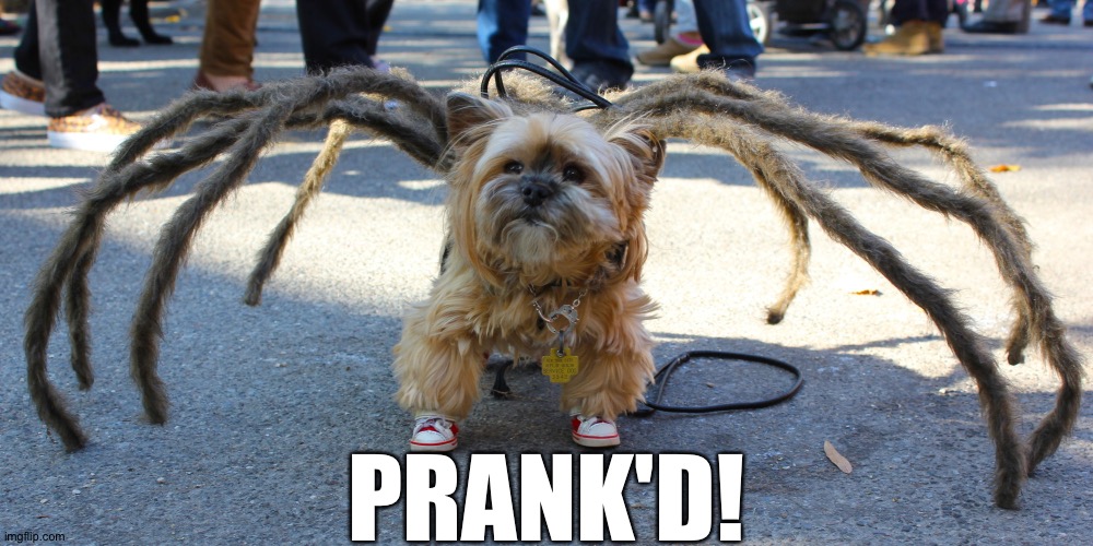 PRANK'D! | made w/ Imgflip meme maker