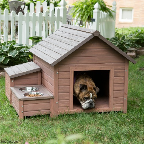Dog House | image tagged in dog house | made w/ Imgflip meme maker