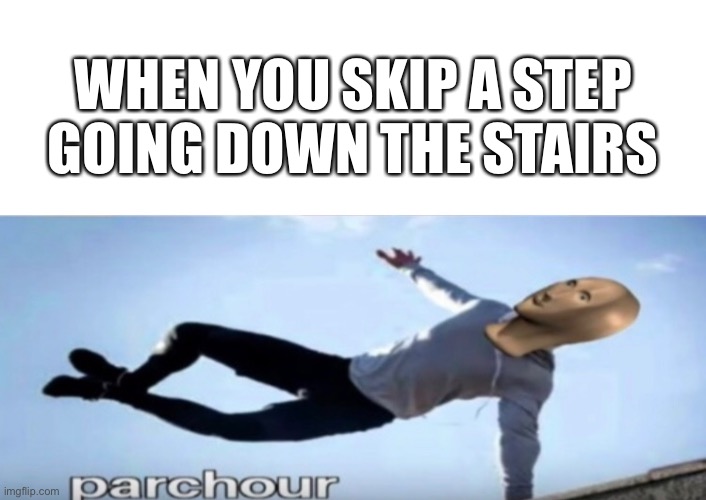 Hardcore parchour | WHEN YOU SKIP A STEP GOING DOWN THE STAIRS | image tagged in meme,fun | made w/ Imgflip meme maker