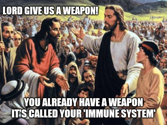 Our gift from The Lord | LORD GIVE US A WEAPON! YOU ALREADY HAVE A WEAPON
IT'S CALLED YOUR 'IMMUNE SYSTEM' | image tagged in covid-19,coronavirus,covid19,stay home,lockdown,funny memes | made w/ Imgflip meme maker