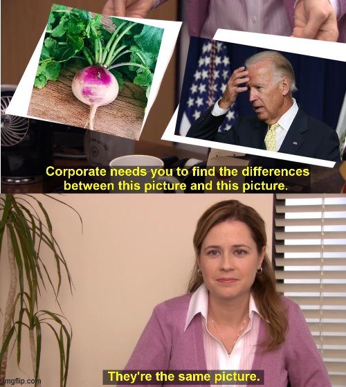 They're The Same Picture | image tagged in memes,they're the same picture,biden,senile,creep | made w/ Imgflip meme maker