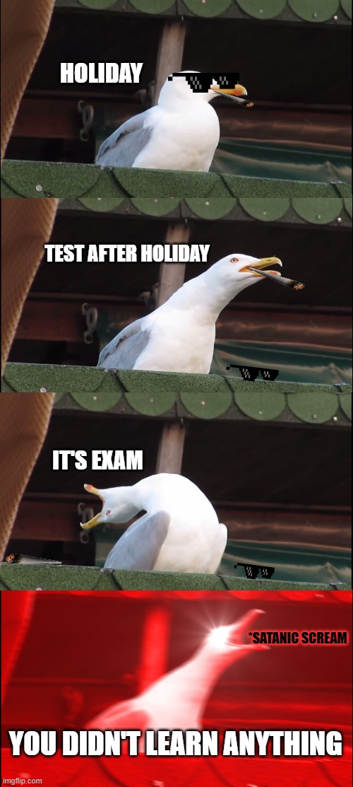 Seagull is very angry with school | HOLIDAY; TEST AFTER HOLIDAY; IT'S EXAM; *SATANIC SCREAM; YOU DIDN'T LEARN ANYTHING | image tagged in memes | made w/ Imgflip meme maker