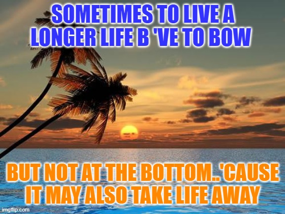 Palm trees, sunset | SOMETIMES TO LIVE A LONGER LIFE B 'VE TO BOW; BUT NOT AT THE BOTTOM..'CAUSE IT MAY ALSO TAKE LIFE AWAY | image tagged in palm trees sunset | made w/ Imgflip meme maker