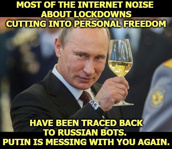 This is not a guess. They can trace these things. | MOST OF THE INTERNET NOISE 
ABOUT LOCKDOWNS CUTTING INTO PERSONAL FREEDOM; HAVE BEEN TRACED BACK TO RUSSIAN BOTS. 
PUTIN IS MESSING WITH YOU AGAIN. | image tagged in putin cheers,russia,putin,election 2020,coronavirus,covid-19 | made w/ Imgflip meme maker