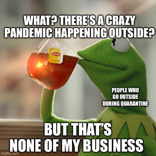 But That's None Of My Business Meme | WHAT? THERE’S A CRAZY PANDEMIC HAPPENING OUTSIDE? PEOPLE WHO GO OUTSIDE DURING QUARANTINE; BUT THAT’S NONE OF MY BUSINESS | image tagged in memes,but that's none of my business,kermit the frog | made w/ Imgflip meme maker