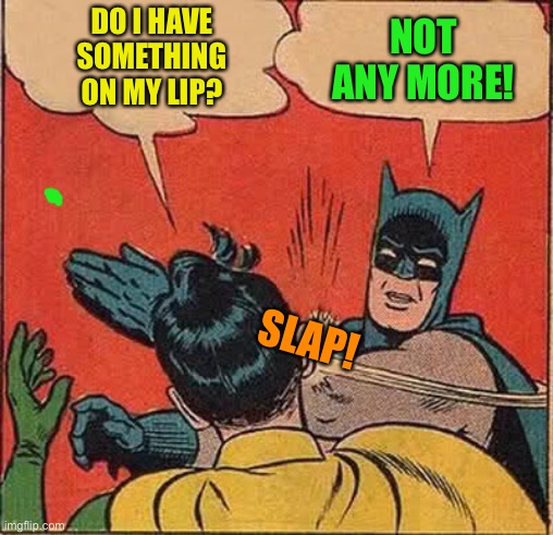 Batman Slapping Robin Meme | DO I HAVE SOMETHING ON MY LIP? NOT ANY MORE! SLAP! | image tagged in memes,batman slapping robin | made w/ Imgflip meme maker
