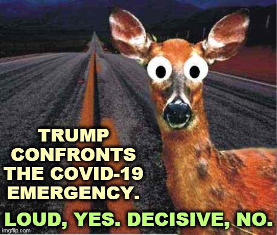 Deer in the headlights, dilated. Adderall can do that? | TRUMP CONFRONTS THE COVID-19 EMERGENCY. LOUD, YES. DECISIVE, NO. | image tagged in deer in headlights,trump,loud,indecisive,incompetence,fail | made w/ Imgflip meme maker