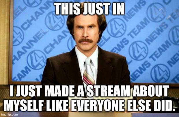 LaceyRobbins1 is the name of the stream about myself | THIS JUST IN; I JUST MADE A STREAM ABOUT MYSELF LIKE EVERYONE ELSE DID. | image tagged in breaking news | made w/ Imgflip meme maker