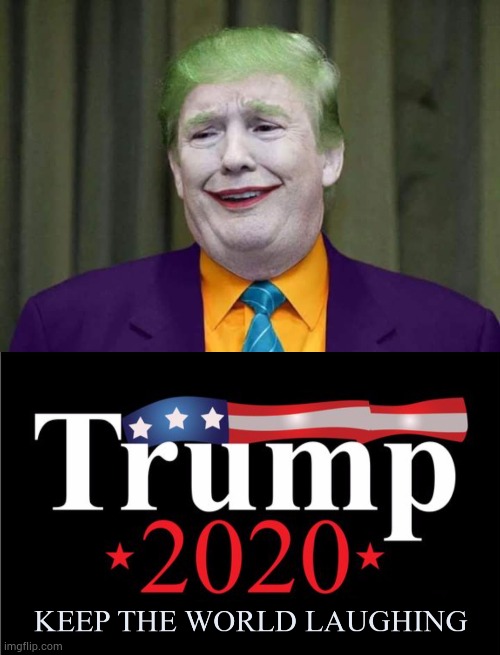 Trump 2020 | image tagged in donald trump,joker | made w/ Imgflip meme maker