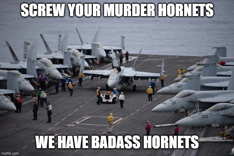 murder hornets | SCREW YOUR MURDER HORNETS; WE HAVE BADASS HORNETS | image tagged in murder hornets,f-18 hornet,hornet | made w/ Imgflip meme maker