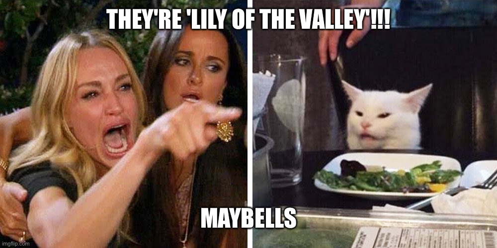 Smudge the cat | THEY'RE 'LILY OF THE VALLEY'!!! MAYBELLS | image tagged in smudge the cat | made w/ Imgflip meme maker