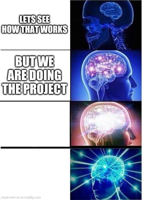 Expanding Brain | LETS SEE HOW THAT WORKS; BUT WE ARE DOING THE PROJECT | image tagged in memes,expanding brain | made w/ Imgflip meme maker