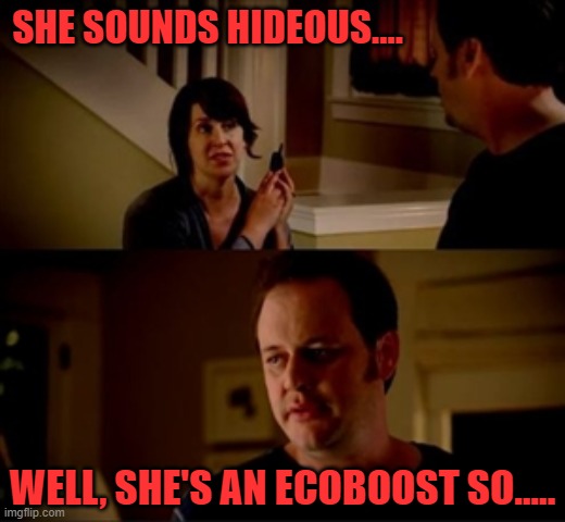 Wife phone guy so | SHE SOUNDS HIDEOUS.... WELL, SHE'S AN ECOBOOST SO..... | image tagged in wife phone guy so,ecoboost | made w/ Imgflip meme maker