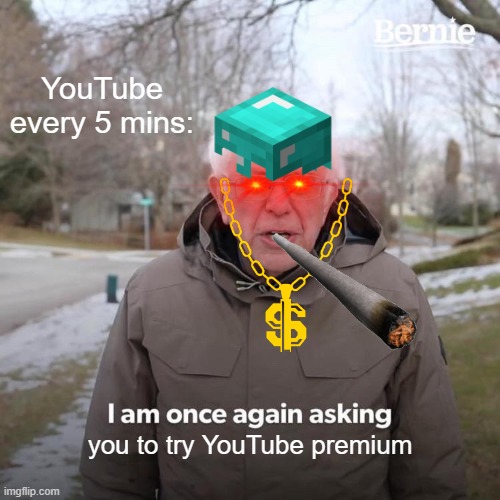 Bernie I Am Once Again Asking For Your Support | YouTube every 5 mins:; you to try YouTube premium | image tagged in memes,bernie i am once again asking for your support | made w/ Imgflip meme maker