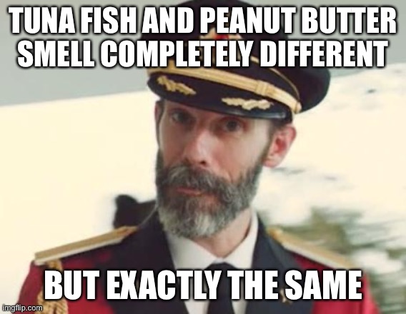 Captain Obvious | TUNA FISH AND PEANUT BUTTER SMELL COMPLETELY DIFFERENT; BUT EXACTLY THE SAME | image tagged in captain obvious | made w/ Imgflip meme maker