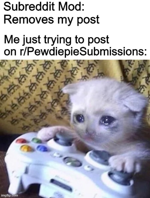 Subreddit Mod: Removes my post; Me just trying to post on r/PewdiepieSubmissions: | image tagged in sad gaming cat | made w/ Imgflip meme maker
