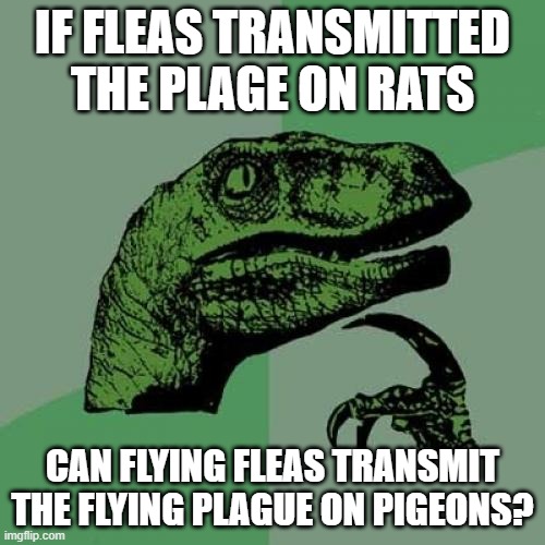 Philosoraptor | IF FLEAS TRANSMITTED THE PLAGE ON RATS; CAN FLYING FLEAS TRANSMIT THE FLYING PLAGUE ON PIGEONS? | image tagged in memes,philosoraptor | made w/ Imgflip meme maker