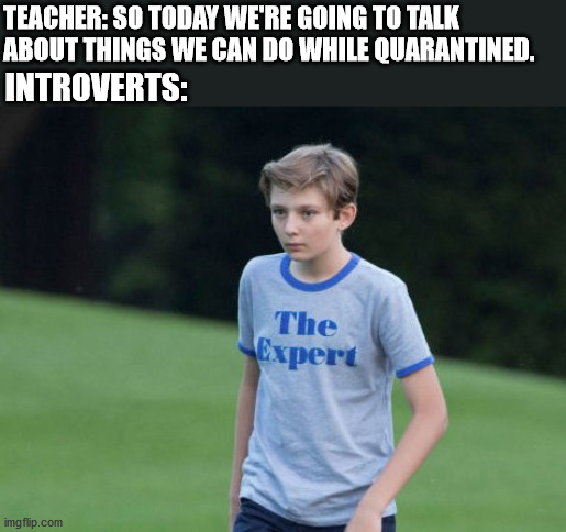 The Expert | TEACHER: SO TODAY WE'RE GOING TO TALK ABOUT THINGS WE CAN DO WHILE QUARANTINED. INTROVERTS: | image tagged in the expert | made w/ Imgflip meme maker