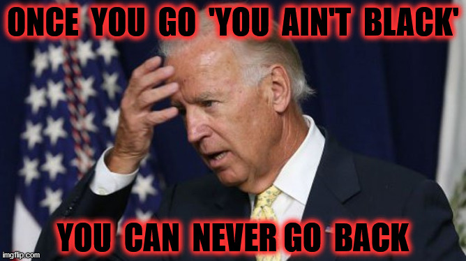 Joe Biden worries | ONCE  YOU  GO  'YOU  AIN'T  BLACK'; YOU  CAN  NEVER GO  BACK | image tagged in joe biden worries,memes,aint nobody got time for that,one does not simply,once upon a time,black | made w/ Imgflip meme maker