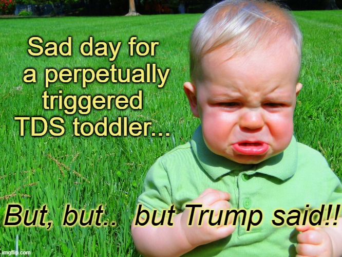 Diaper rash and TDS makes one cranky | Sad day for
 a perpetually
 triggered 
TDS toddler... But, but..  but Trump said!! | image tagged in toddler pouting | made w/ Imgflip meme maker