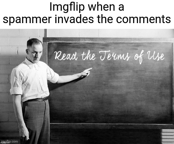 "NO SPAMMING ALLOWED" |  Imgflip when a spammer invades the comments | image tagged in read the terms of use,memes,spam,spammers | made w/ Imgflip meme maker