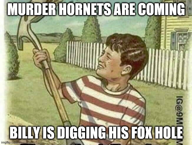 kid in yard | MURDER HORNETS ARE COMING; BILLY IS DIGGING HIS FOX HOLE | image tagged in funny | made w/ Imgflip meme maker