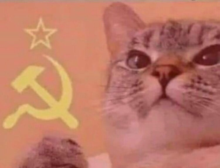 Communist cat Blank Meme Template