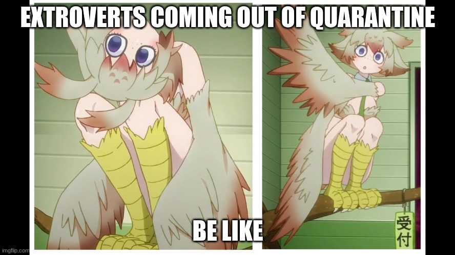 my life | EXTROVERTS COMING OUT OF QUARANTINE; BE LIKE | made w/ Imgflip meme maker
