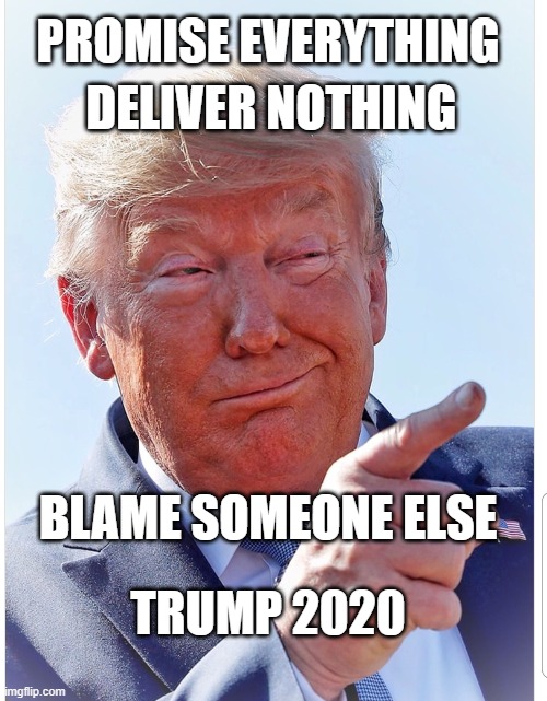 Soooo much winning!!! | PROMISE EVERYTHING; DELIVER NOTHING; BLAME SOMEONE ELSE; TRUMP 2020 | image tagged in trump pointing | made w/ Imgflip meme maker