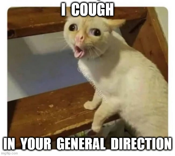 Coughing Cat | I  COUGH IN  YOUR  GENERAL  DIRECTION | image tagged in coughing cat | made w/ Imgflip meme maker