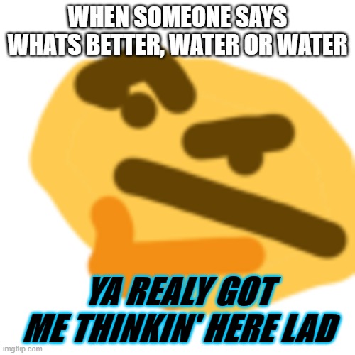 YA GOT ME THONKIN' | WHEN SOMEONE SAYS WHATS BETTER, WATER OR WATER; YA REALY GOT ME THINKIN' HERE LAD | image tagged in hmm,what | made w/ Imgflip meme maker