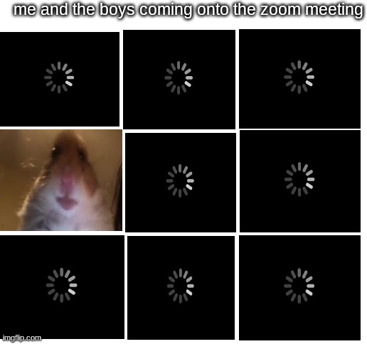 Blank White Template | me and the boys coming onto the zoom meeting | image tagged in blank white template,funny memes,funny | made w/ Imgflip meme maker