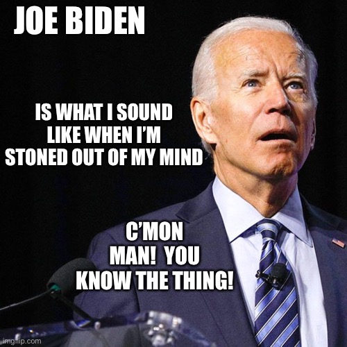 Stoned Biden | JOE BIDEN; IS WHAT I SOUND LIKE WHEN I’M STONED OUT OF MY MIND; C’MON MAN!  YOU KNOW THE THING! | image tagged in youaintblack,joe biden,stoned | made w/ Imgflip meme maker