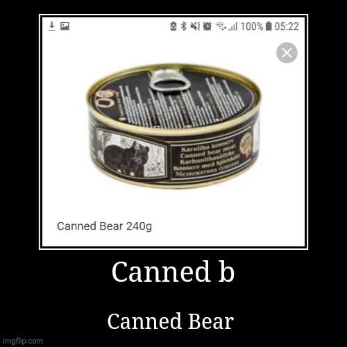 Bear | image tagged in funny | made w/ Imgflip demotivational maker