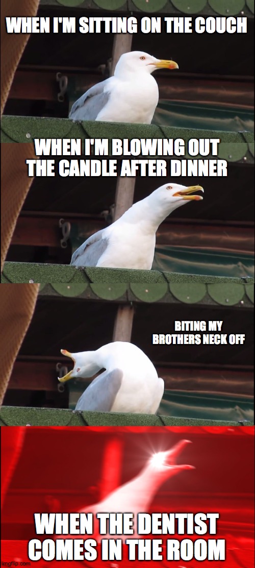 Inhaling Seagull | WHEN I'M SITTING ON THE COUCH; WHEN I'M BLOWING OUT THE CANDLE AFTER DINNER; BITING MY BROTHERS NECK OFF; WHEN THE DENTIST COMES IN THE ROOM | image tagged in memes,inhaling seagull | made w/ Imgflip meme maker