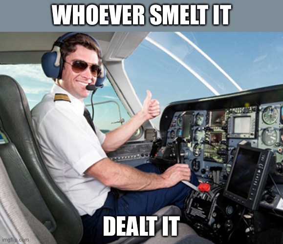 pilot | WHOEVER SMELT IT DEALT IT | image tagged in pilot | made w/ Imgflip meme maker