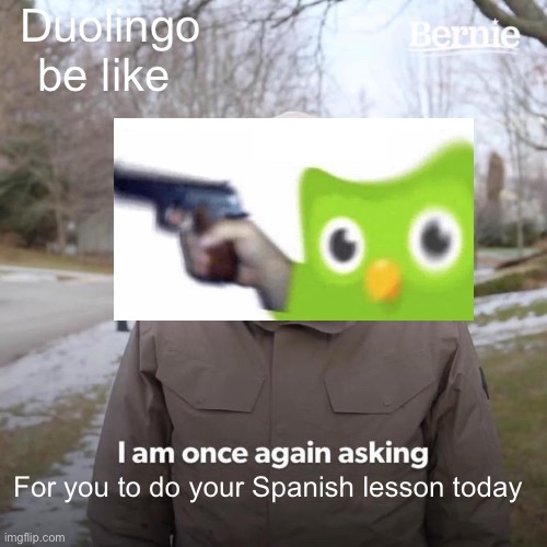 Bernie I Am Once Again Asking For Your Support | Duolingo be like; For you to do your Spanish lesson today | image tagged in memes,bernie i am once again asking for your support,duolingo,funny memes | made w/ Imgflip meme maker