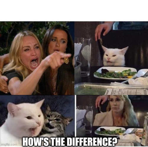 HOW'S THE DIFFERENCE? | image tagged in memes,woman yelling at cat,cat yelling at woman | made w/ Imgflip meme maker