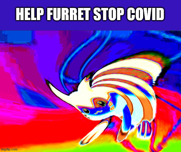 Cursed Furret | HELP FURRET STOP COVID | image tagged in cursed furret | made w/ Imgflip meme maker