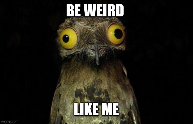 Weird Stuff I Do Potoo Meme | BE WEIRD LIKE ME | image tagged in memes,weird stuff i do potoo | made w/ Imgflip meme maker