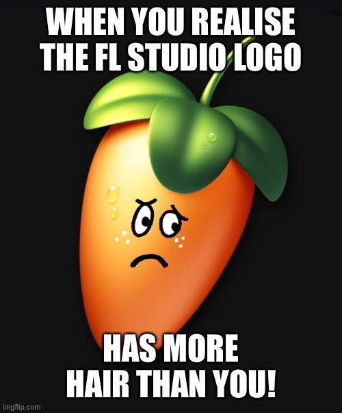 Hair today gone tomorrow! | WHEN YOU REALISE THE FL STUDIO LOGO; HAS MORE HAIR THAN YOU! | image tagged in music meme,bad hair day,baldness,funny memes,real life,hairless | made w/ Imgflip meme maker
