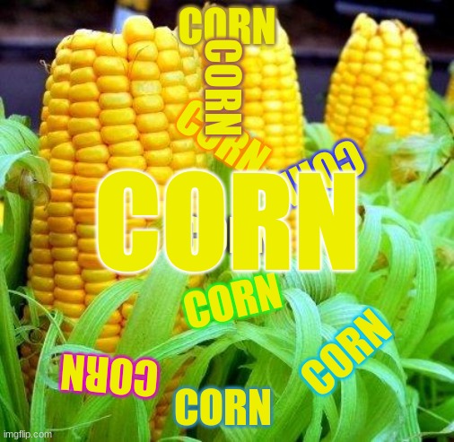CORN meme | CORN CORN CORN CORN CORN CORN CORN CORN CORN CORN | image tagged in corn meme | made w/ Imgflip meme maker