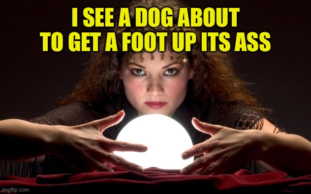 Psychic with Crystal Ball | I SEE A DOG ABOUT TO GET A FOOT UP ITS ASS | image tagged in psychic with crystal ball | made w/ Imgflip meme maker