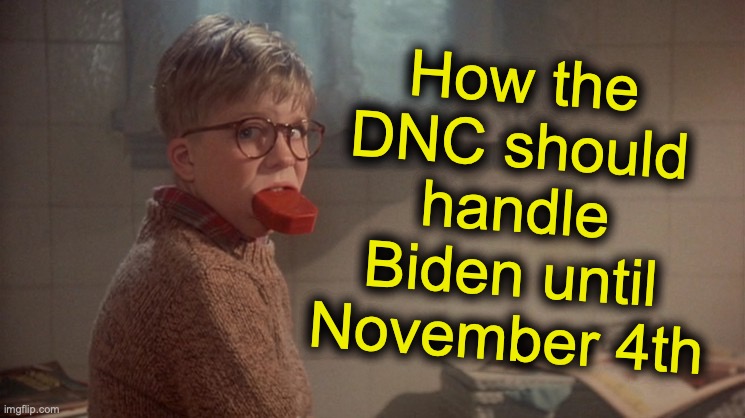 Hidin' Biden | How the DNC should handle Biden until November 4th | image tagged in joe biden | made w/ Imgflip meme maker