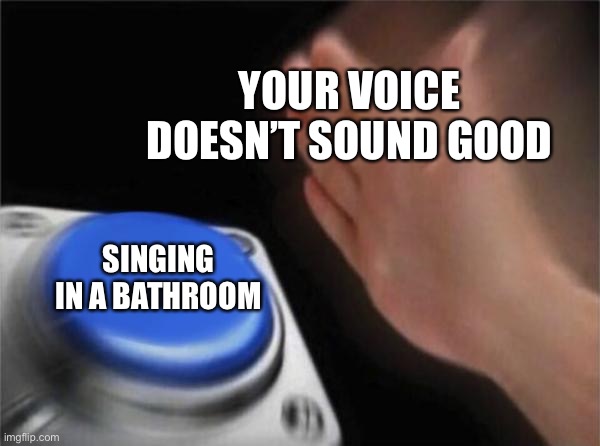 Blank Nut Button Meme | YOUR VOICE DOESN’T SOUND GOOD; SINGING IN A BATHROOM | image tagged in memes,blank nut button,singing,toilet,bathroom | made w/ Imgflip meme maker